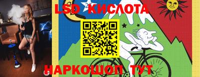 дмт Бийск