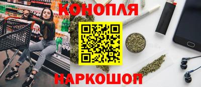 дмт Бийск